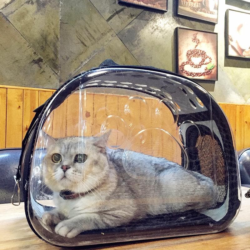 Carrier For Cat Dog Transportation Travel Accessories Pet Lady Bag And Super Animals Shoulder Basket Backpack Rabbit Crate Tote dylinoshop