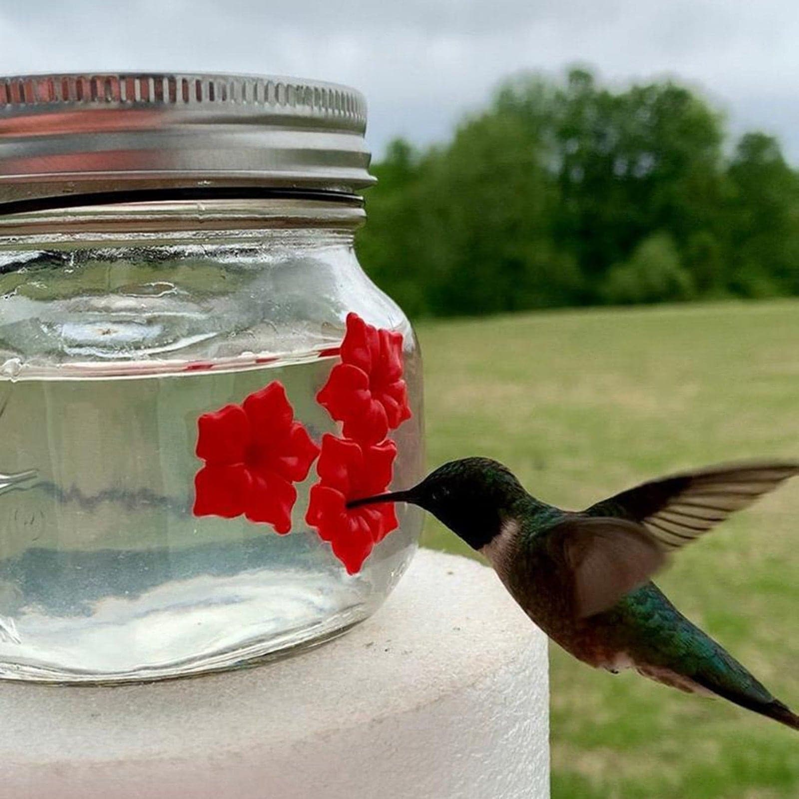 Mason Jar Hummingbird Feeder dylinoshop