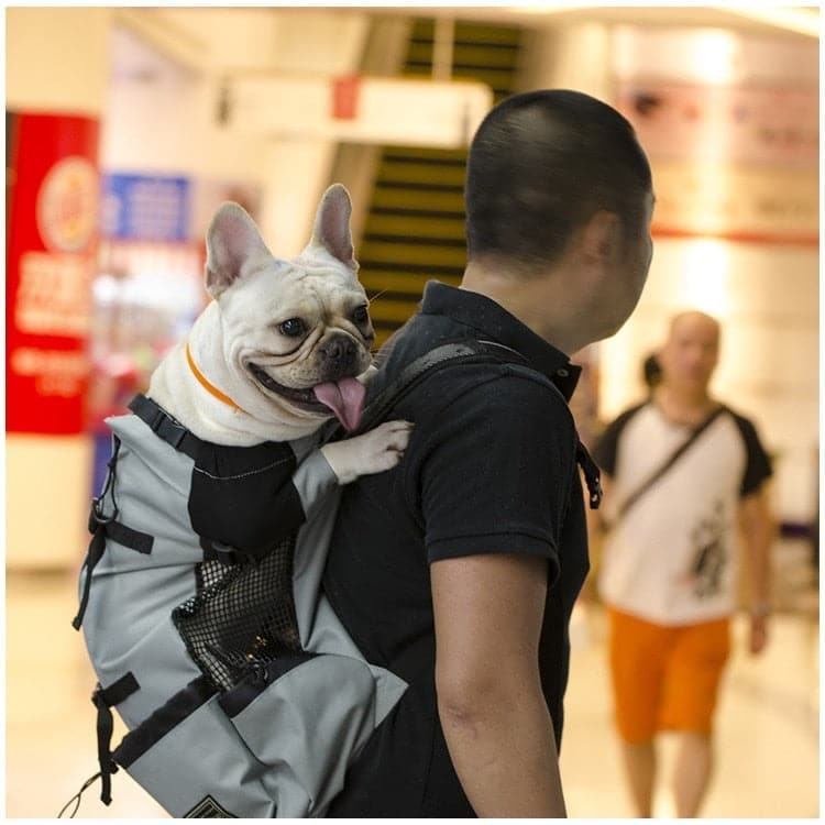 Pet Dog Carrier Travel Backpack Shoulder Dog Outdoor Bag Ventilation Breathable Bicycle Motorcycle Outdoor Hiking Sport Bag dylinoshop