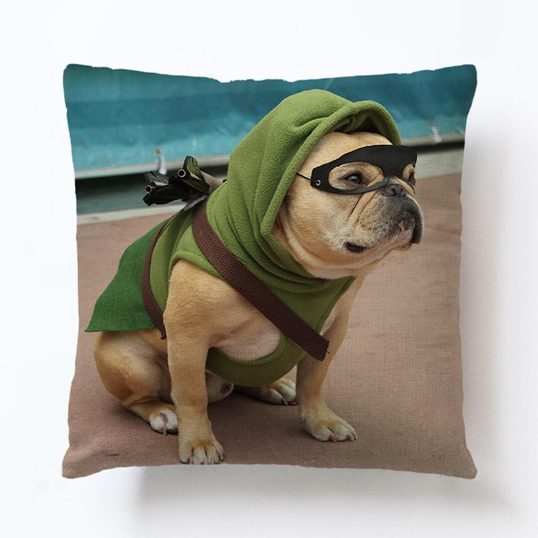 Cute Pug Art Pillow Cover dylinoshop