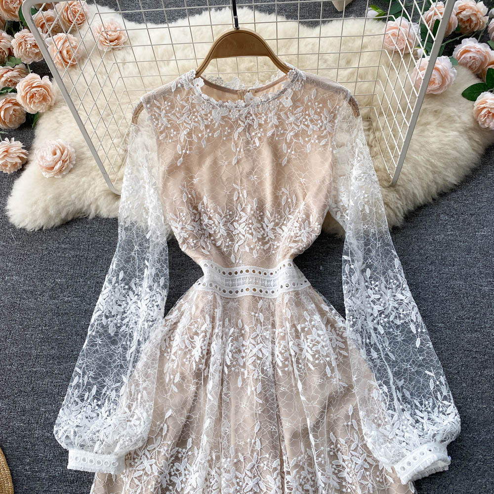 Women Embroidery Lace Mesh Elegant Slim A Line Long Dress dylinoshop