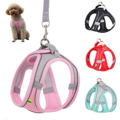 Dog Harness Leash Set for Small Dogs dylinoshop