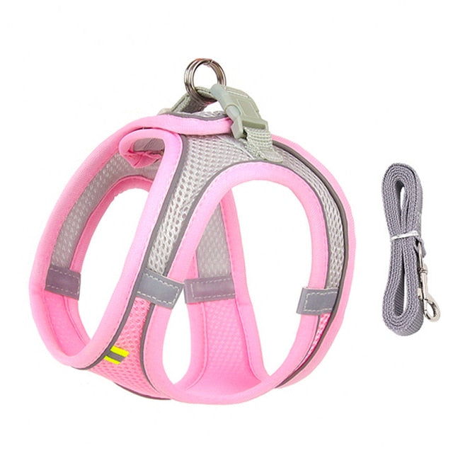 Dog Harness Leash Set for Small Dogs dylinoshop