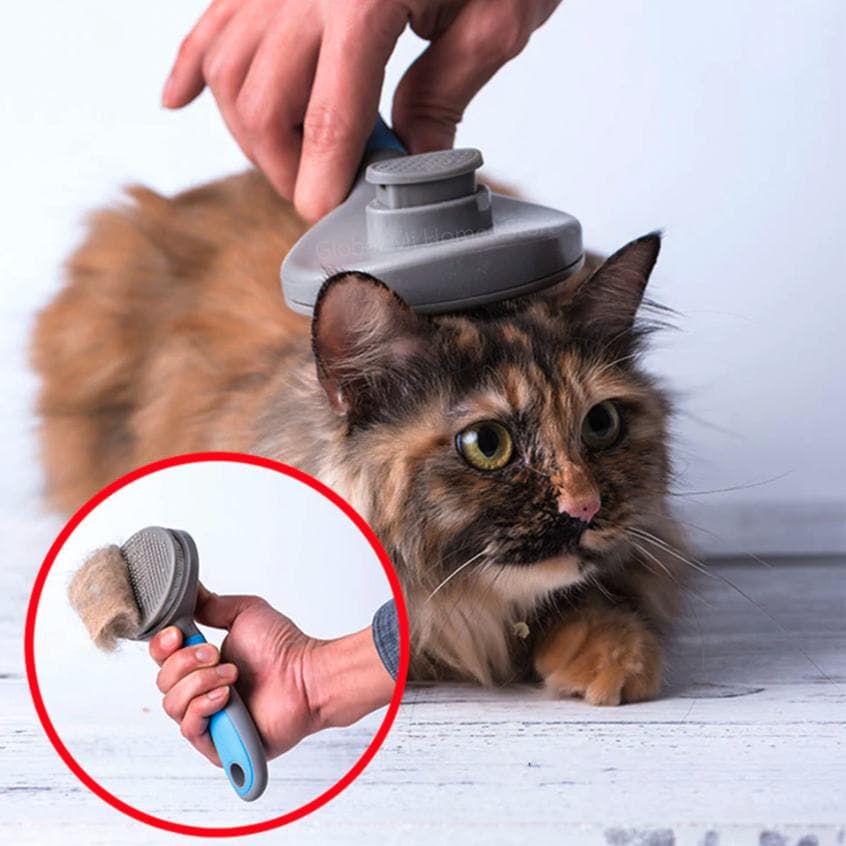 Cat Hair Remover Brush DYLINOSHOP