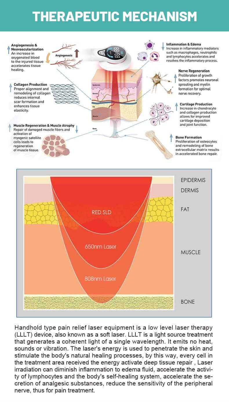 Cold Light Handheld Laser Therapy Device DYLINOSHOP