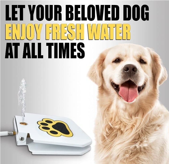 Dog Step On Water Fountain - DYLINOSHOP