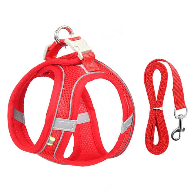 Dog Harness Leash Set for Small Dogs dylinoshop