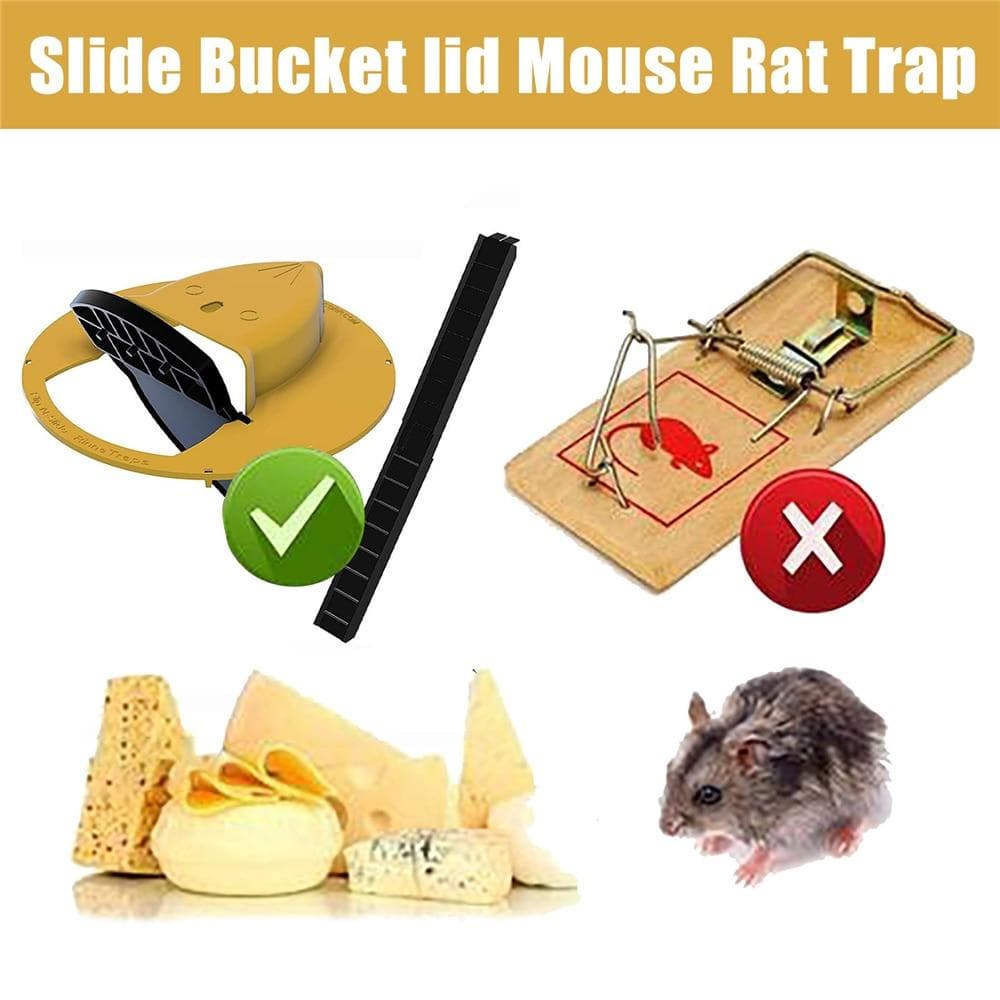 Flip 'n Slide Mouse Trap DYLINOSHOP