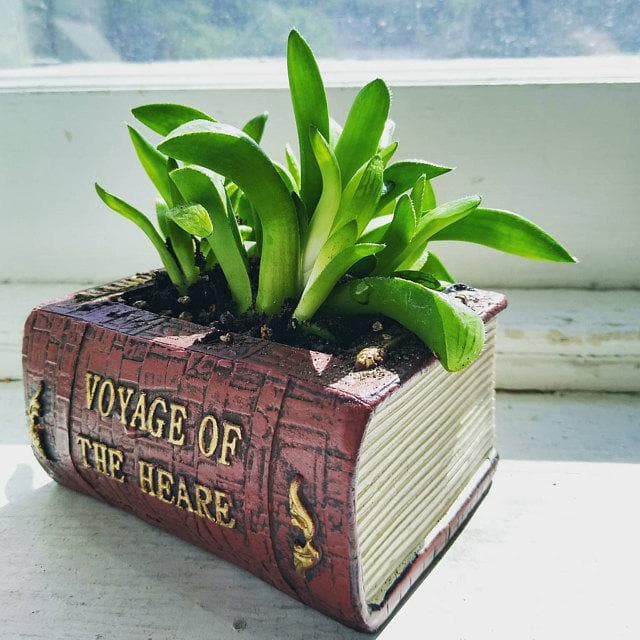 Book Planter dylinoshop