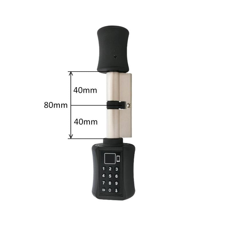 Multi-functional Biometric Cylinder Smart Door Lock DYLINOSHOP