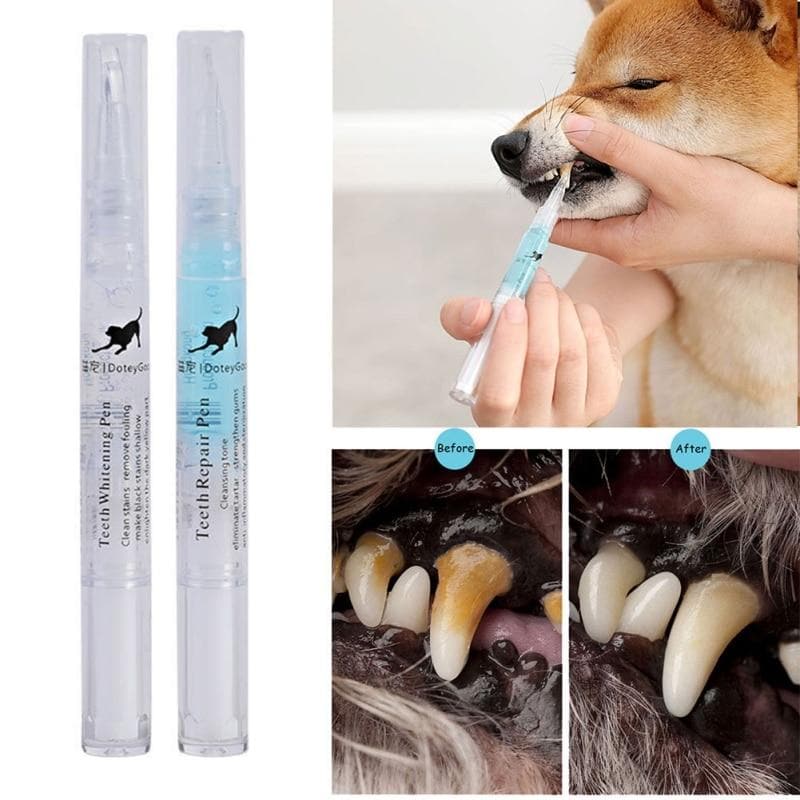 Pet Teeth Repairing Kit DYLINOSHOP