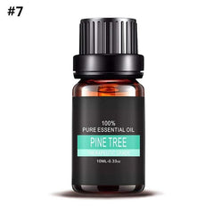 Pure Plant Essential Oils (10ml) DYLINOSHOP